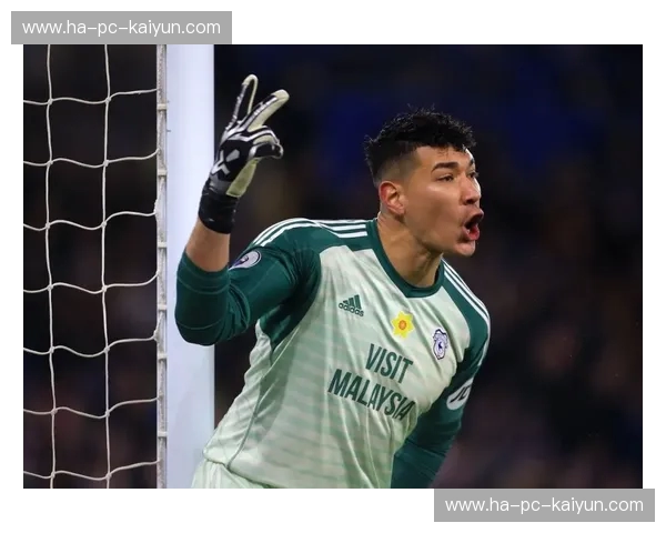 绿茵激战,火花四溅!诺维奇vs考文垂直播:一场不容错过的英冠巅峰对决 绿茵激战,火花四溅!诺维奇vs考文垂直播:一场不容错过的英冠巅峰对决